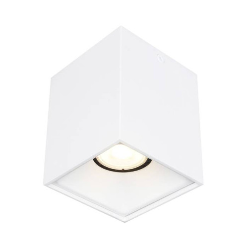 Накладной светильник ST Luce Накладные светильники ST168.502.01