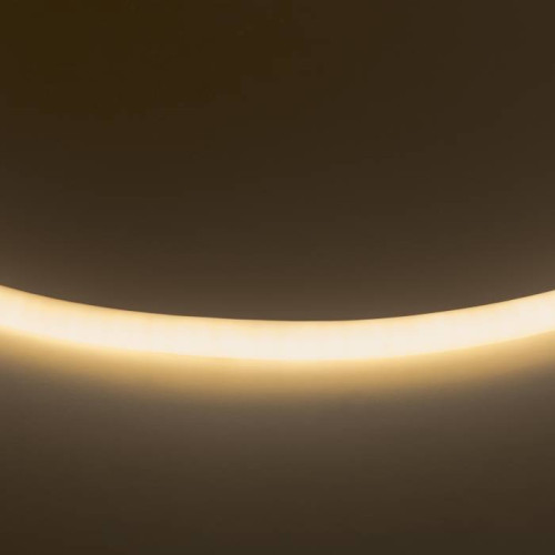 Светодиодный шнур Lightstar Neolid 430202