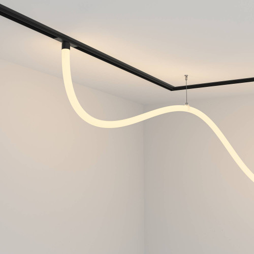 Трековый светильник Maytoni Tau Exility TR101-2-50W3K-B