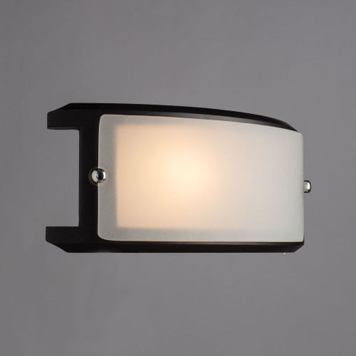 Настенно потолочный светильник Arte Lamp ARCHIMEDE A6462AP-1CK