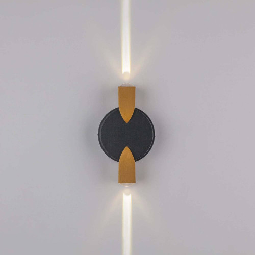 Уличный настенный светильник Lightstar Dito 380623