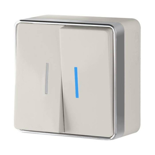 Выключатель Werkel W5020103/ Выключатель двухклавишный с подсветкой Gallant (слоновая кость)
