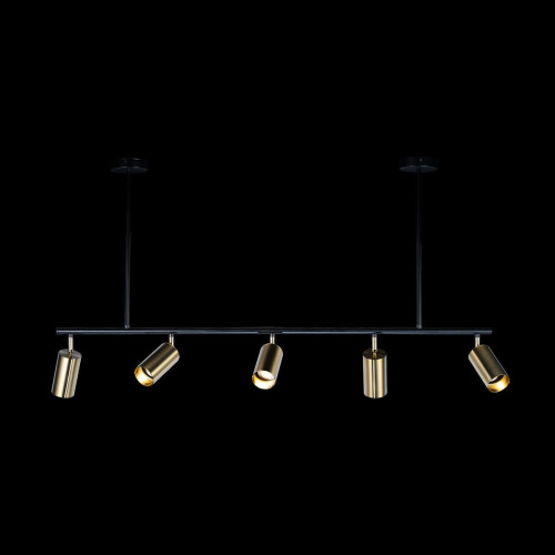 Светильник потолочный Loft It Tribes 8120P-5