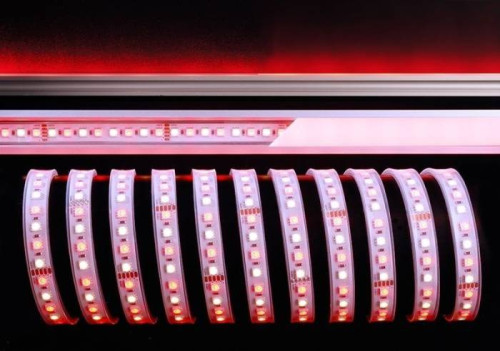 LED лента Deko-Light SMD5050 840218