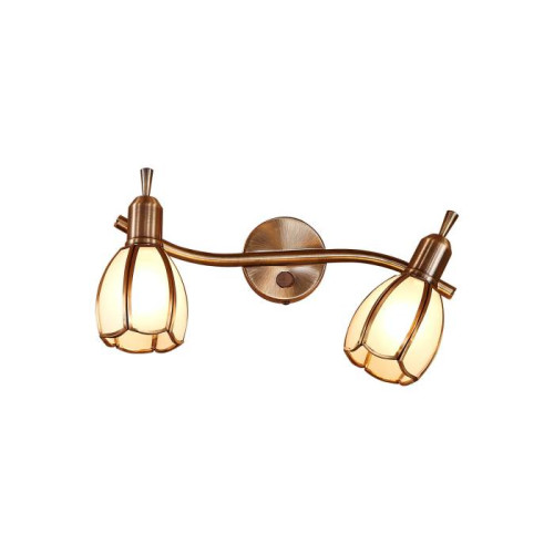 Светильник спот Citilux Альтен-2 CL522621