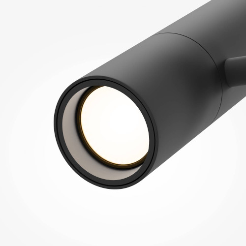 Трековый светильник Maytoni Elti Duo Exility TR005-2-2X12W3K-B