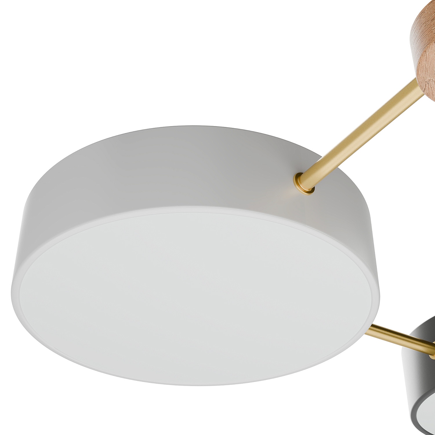 Потолочная люстра LIGHTERA Tizzo LE239PL-3WG