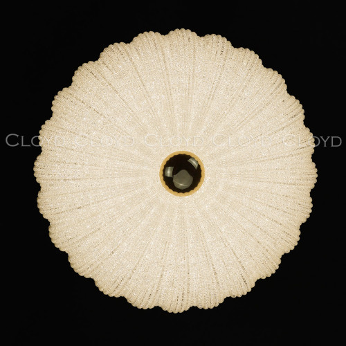 Светильник потолочный Cloyd Dessa 10372