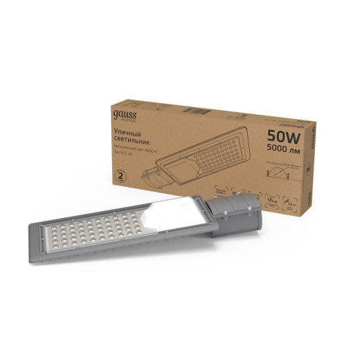 Консольный уличный светильник Gauss 629534250