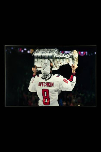 Картина настенная Teona Decor Hockey TD233