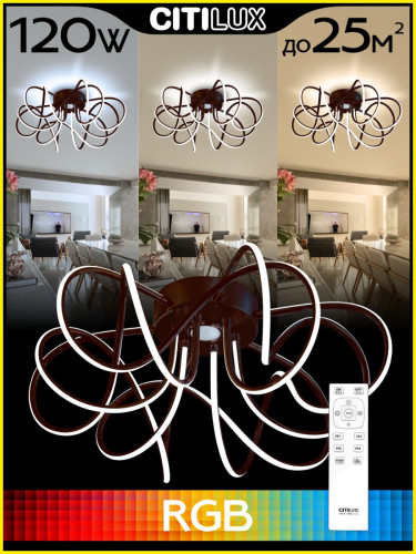 Потолочная люстра Citilux Мишель CL229165