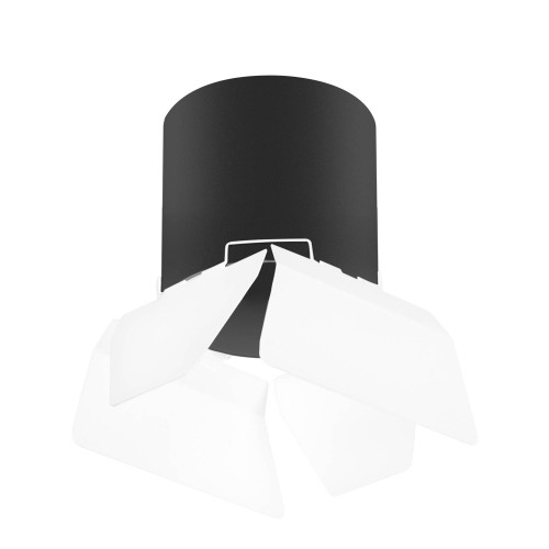 Накладной светильник Lightstar Rullo R3487486