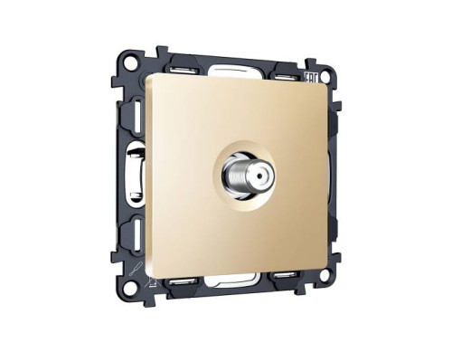 Розетка Ambrella Volt ALFA MA613050