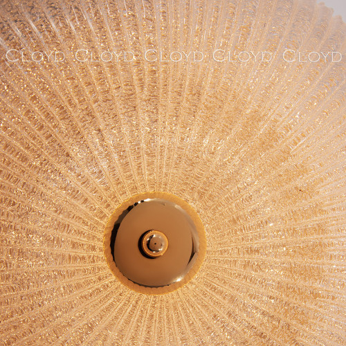 Светильник потолочный Cloyd Manioсa 11041