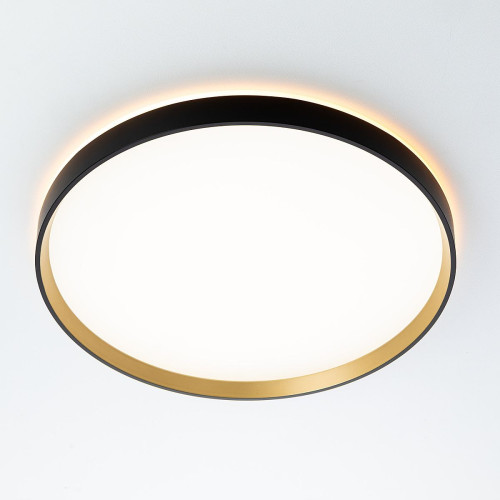 Светильник потолочный Citilux ETALON CL750401R