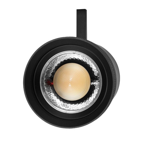 Светильник профессиональный тушка BARRA/QUATTRO Lightstar Canno Pro 304407