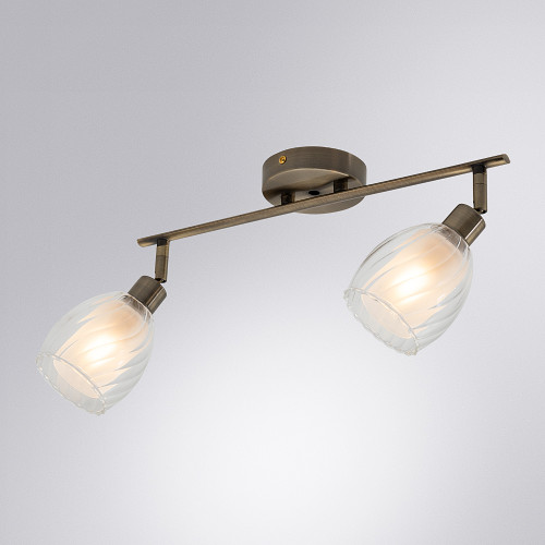 Светильник спот Arte Lamp Biham A3184PL-2AB