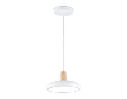 Светильник подвесной Ambrella LineTech FL4838