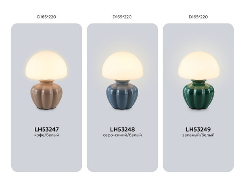 Настольная лампа Ambrella Ceramo Modern LH53249