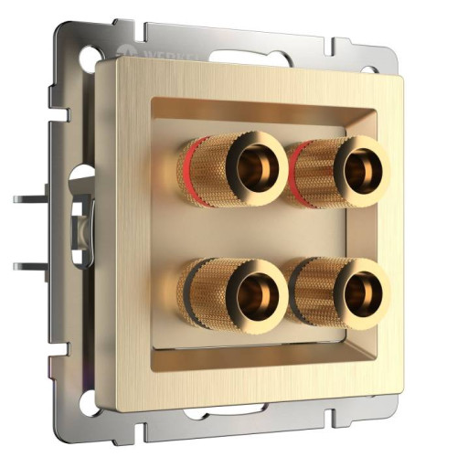 Розетка Werkel W1185010/ Акустическая розетка (шампань рифленый)