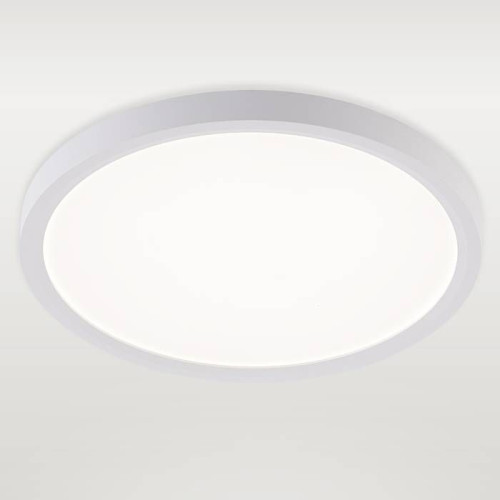 Светильник потолочный Natali Kovaltseva Plain LED LAMPS 81113/2C