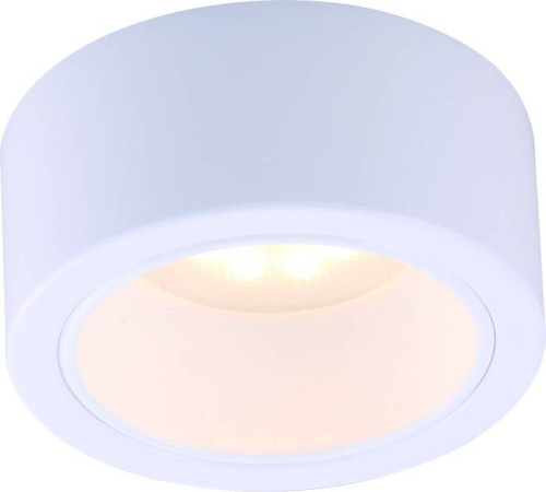 Светильник потолочный Arte Lamp A5553PL-1WH