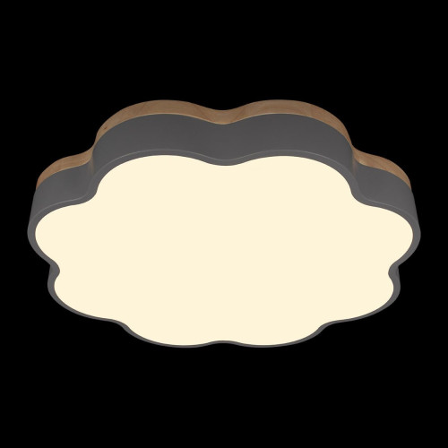 Светильник потолочный Loft It Axel 10225/36 Grey