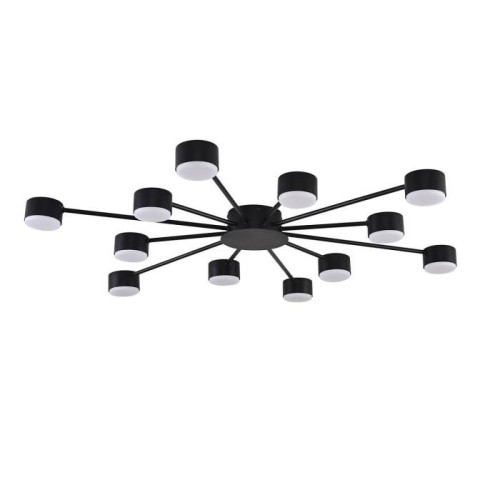 Потолочная люстра Lumion Torina 8344/12C