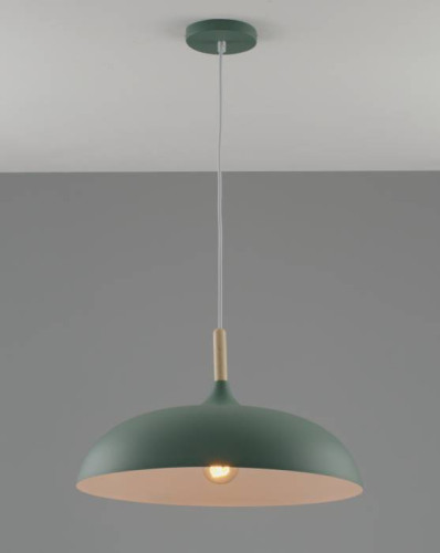 Светильник подвесной Moderli Hygo V10656-1P