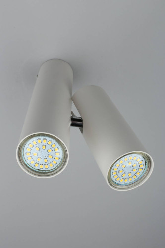 Светильник спот Aployt Aksel APL.006.02.02