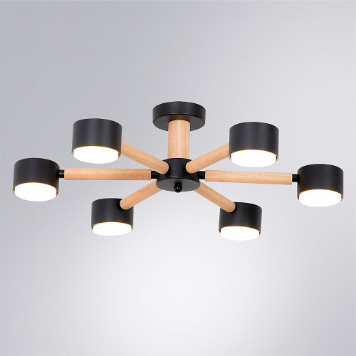 Потолочная люстра Arte Lamp Tenda A1624PL-6BK