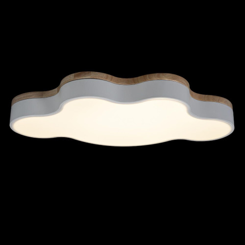 Светильник потолочный Loft It Axel 10005/36 White