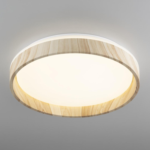 Светильник потолочный Citilux Enzo CL753352G