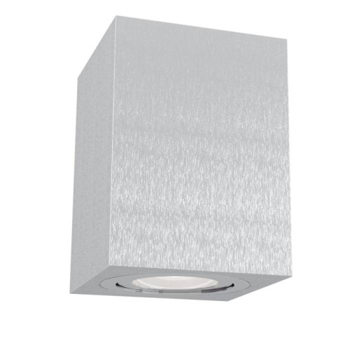 Накладной светильник Maytoni Alfa C017CL-01S