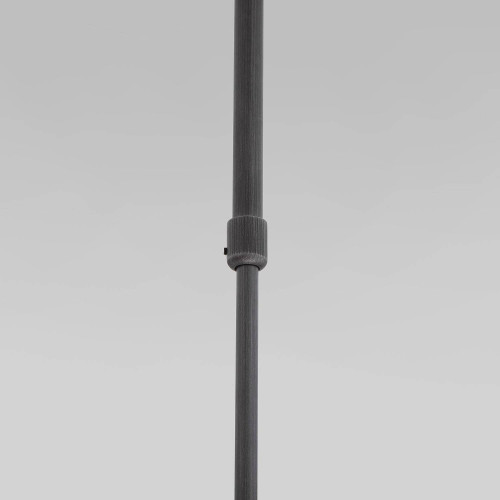 Светильник потолочный Eurosvet Pacific 50255/1 титан