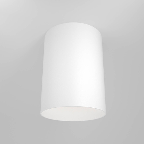 Накладной светильник Maytoni Alfa C014CL-01W