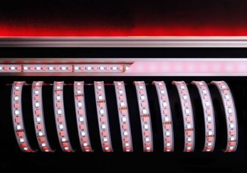 LED лента Deko-Light SMD5050 840219