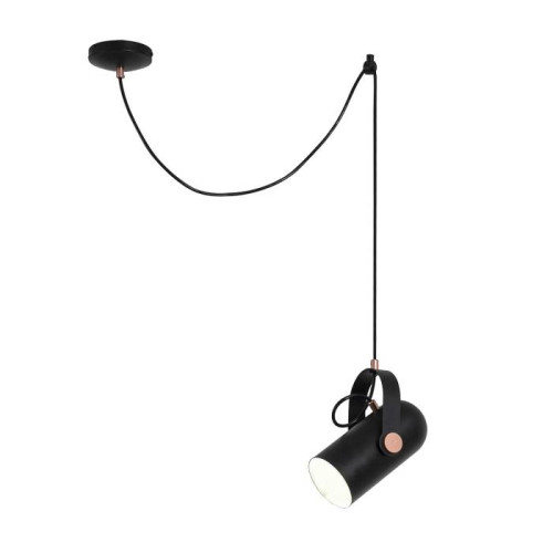 Светильник подвесной Favourite Ampolla 2007-1P