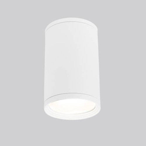 Накладной светильник Elektrostandard Light 2101 Light 2101 (35128/H) белый