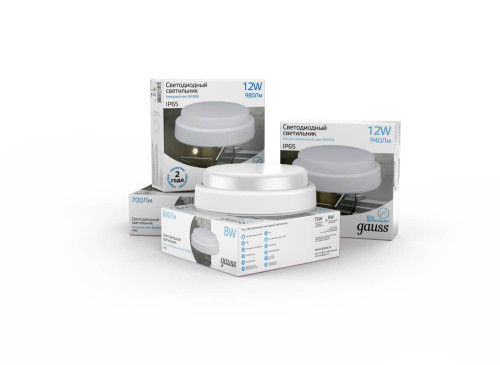 Светильник потолочный Gauss Universal IP65 126411212-S