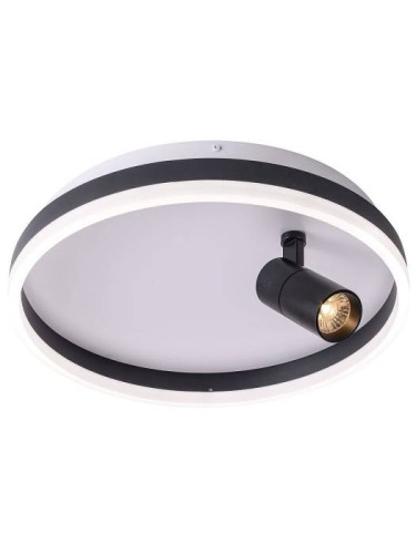 Светильник потолочный Zortes Raizy ZRS.1888.03