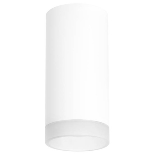 Накладной светильник Lightstar Rullo R648680