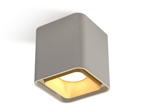 Накладной светильник Ambrella Techno XS7842004