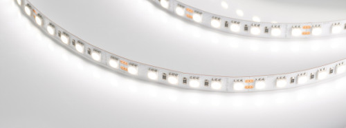 LED лента Arlight RT открытая 017424(2)