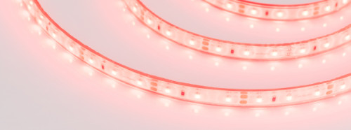 LED лента Arlight RT открытая 013394