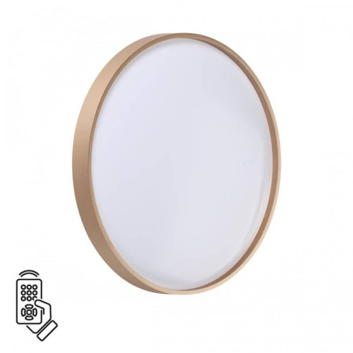 Настенно потолочный светильник Sonex Gaby 7783/DL