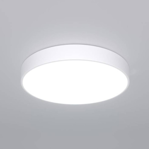 Светильник потолочный Eurosvet Entire 90320/1 белый