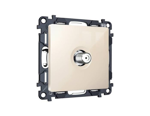 Розетка Ambrella Volt ALFA MA313050