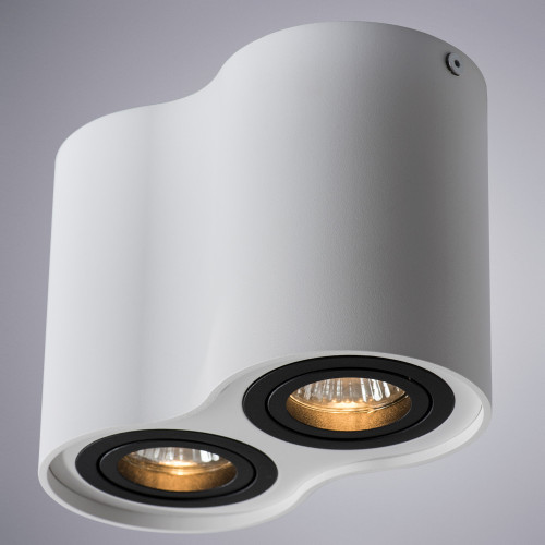 Накладной светильник Arte Lamp Falcon A5644PL-2WH