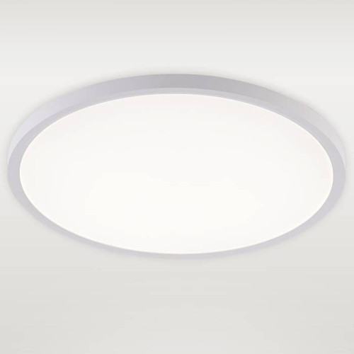 Светильник потолочный Natali Kovaltseva Plain LED LAMPS 81113/5C